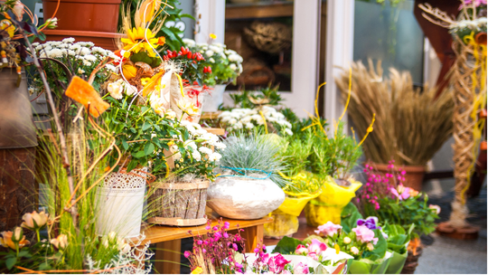 Schaufenstergestaltung im Frühling: Trends, Ideen & Inspirationen